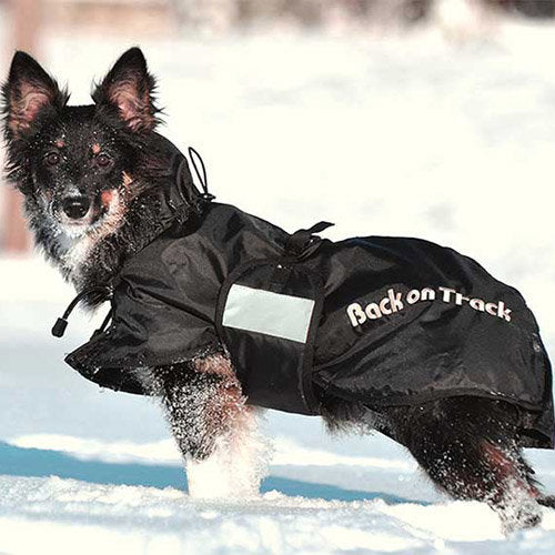 Back on shop track dog coats