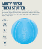 Orbee-Tuff Guru ~ Interactive Treat Stuffer