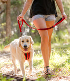 Zero Shock Dog Leash ~ Available in Multiple Colors