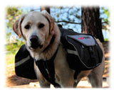 Summit Dog Backpack