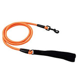 Dazzle Rope Leash