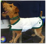 Kool Coats For Dogs