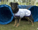 Kool Coats For Dogs