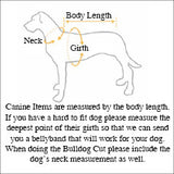Kool Coats For Dogs