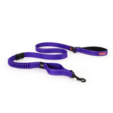 Zero Shock Dog Leash ~ Available in Multiple Colors