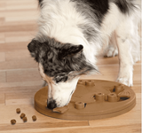 Nina Ottosson Dog Worker Composite ~ Level 3