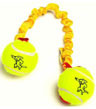 Bungee Ball Tug With Tennis Balls
