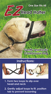 One Piece Halter & Leash Combo - ONE SIZE FITS ALL!