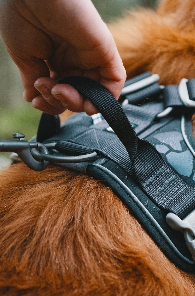 Hurtta Weekend Warrior Harness Planet Blue Dog
