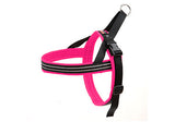 ComfortFlex Sport Harness ~ Multiple Colors