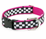 Speedway Buckle Dog Collar ~ Red or Blue